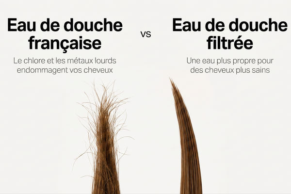 cheveux secs 